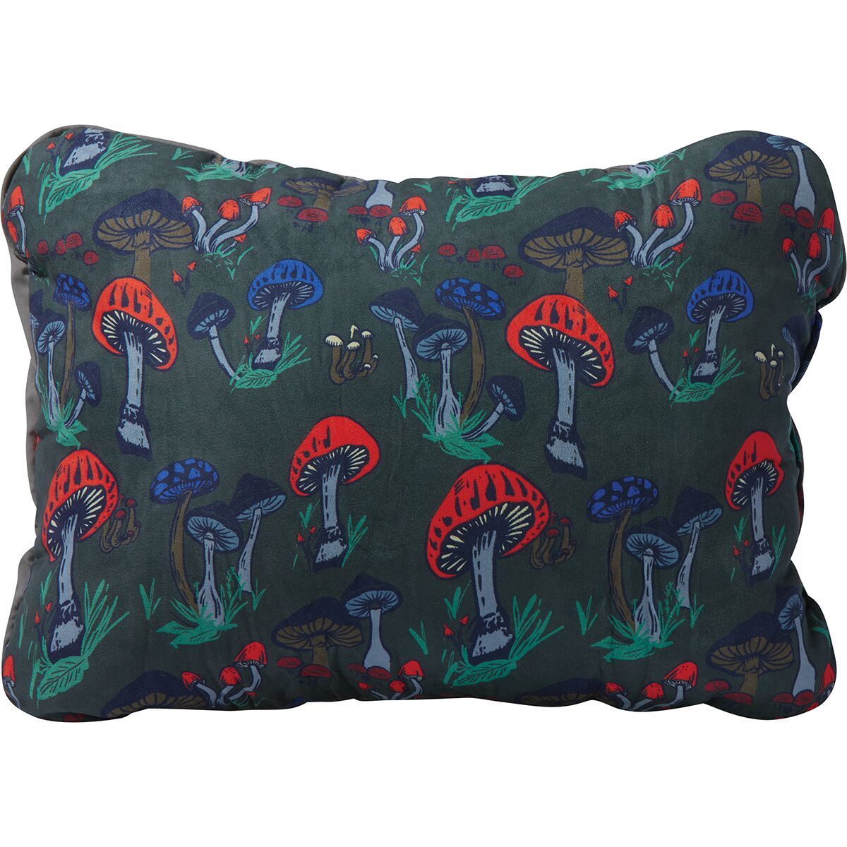 Therm-a-Rest Compressible Pillow Cinch